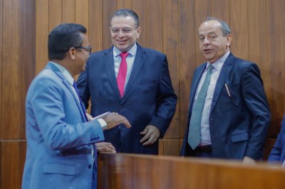 PLENÁRIO 29.12.2022-13.JPG