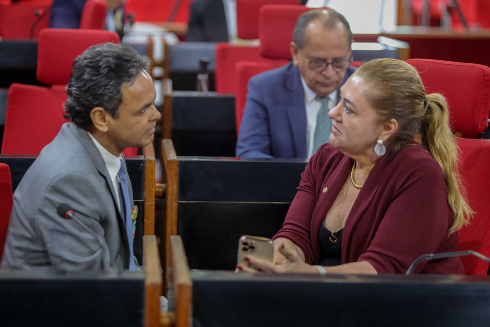 PLENÁRIO 11.04.2023-21.JPG