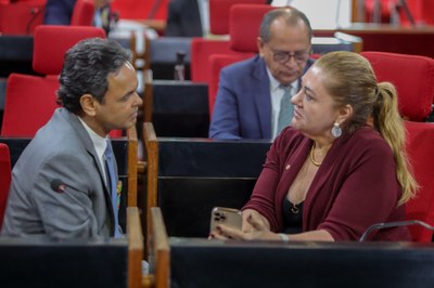 PLENÁRIO 11.04.2023-21.JPG