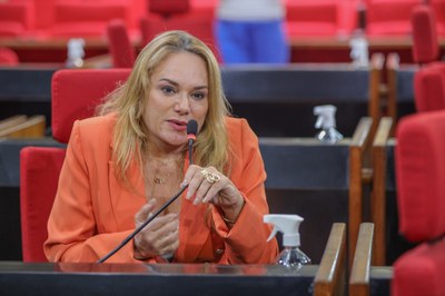 PLENÁRIO 25.04.2023-24.JPG