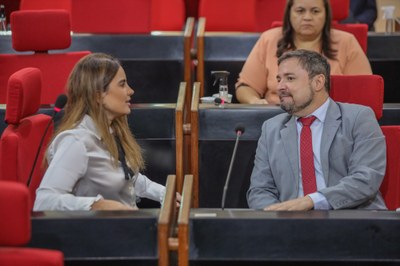 PLENÁRIO 25.04.2023-6.JPG
