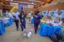 CÃO AFETIVO-8.JPG