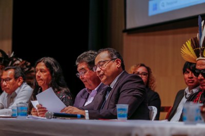 AUDIÊNCIA PÚBLICA POVOS INDIGENAS  28.08 (2).JPG