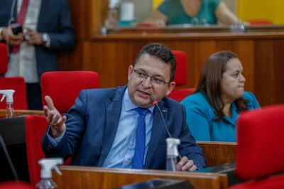 SESSÃO PLENÁRIA 29.08 (21).JPG
