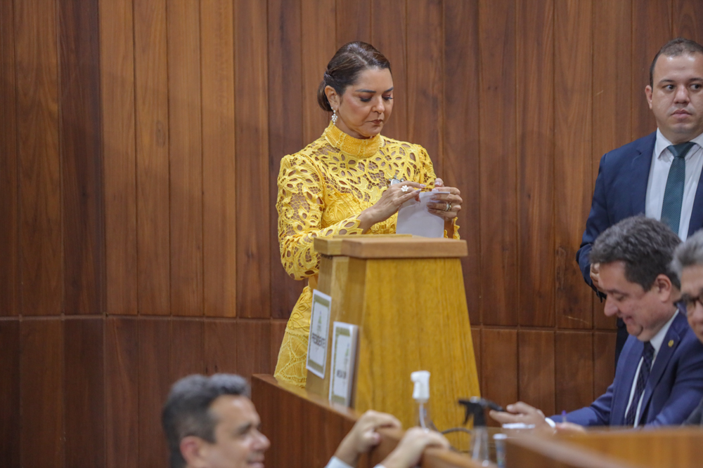 ELEIÇÃO DA MESA DIRETORA_-24.JPG