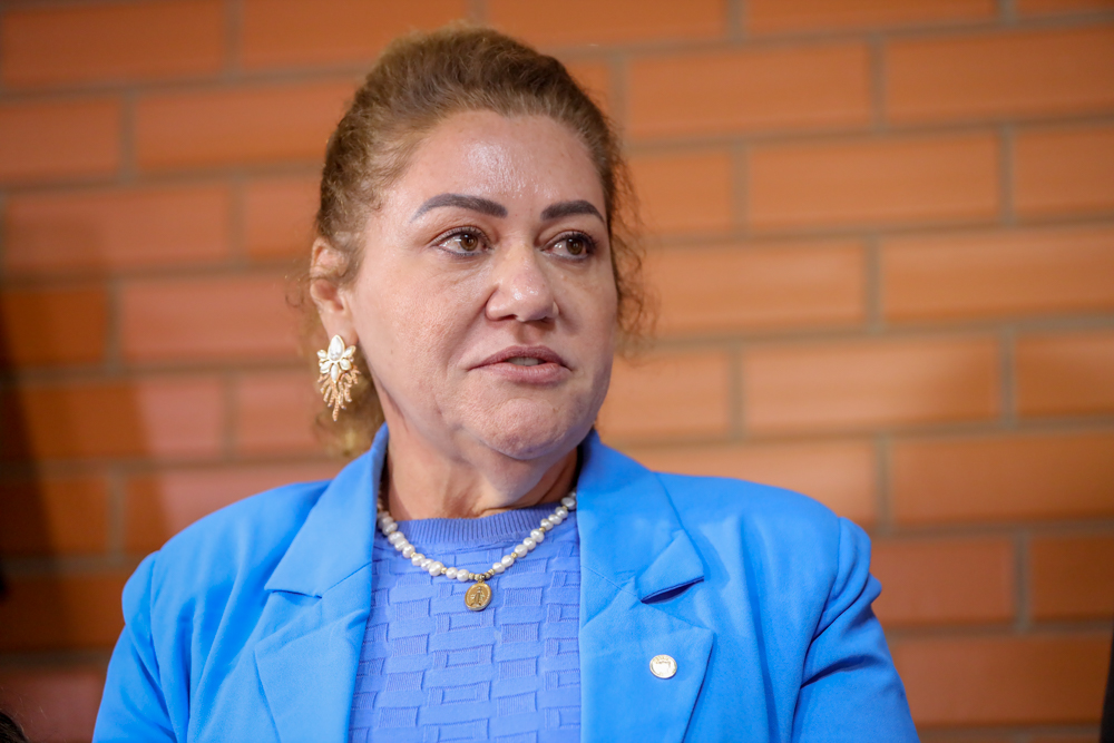 POSSE DEPUTADA SIMONE-19.JPG