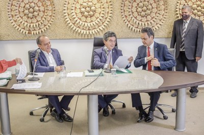 REUNIÃO CONJUNTA DAS COMISSÕES TÉCNICAS-4.JPG