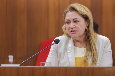 PLENÁRIO 23.03.2023-6.JPG