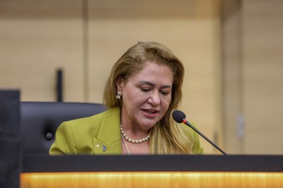 SESSÃO PLENÁRIA 27.08.2024.JPG