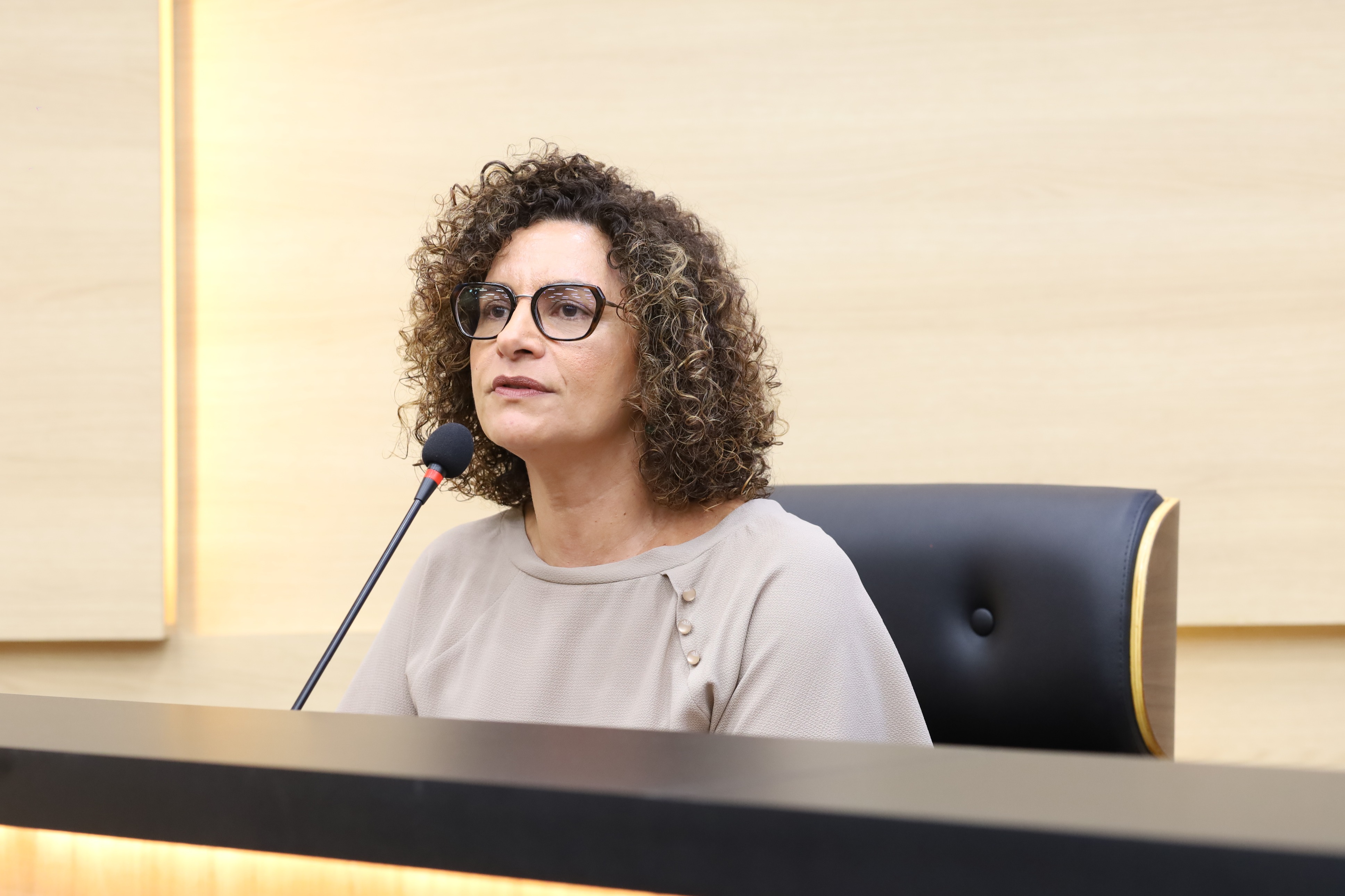 AUDIÊNCIA PÚBLICA PARA DEBATER O EXTERMÍNIO DA JUVENTUDE NEGRA E POBRE NO ESTADO DO PIAUÍ (13).JPG