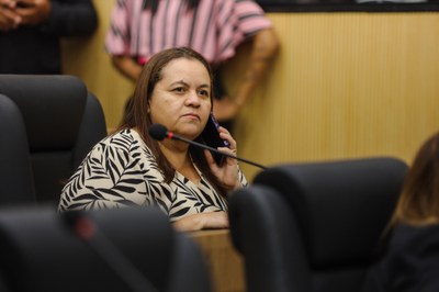 PLENÁRIO 28-05-2024-17.JPG