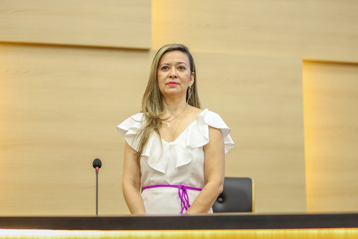 Sessão Solene alusiva à Promulgação do Código de Defesa do Consumidor 11.09 (5).JPG