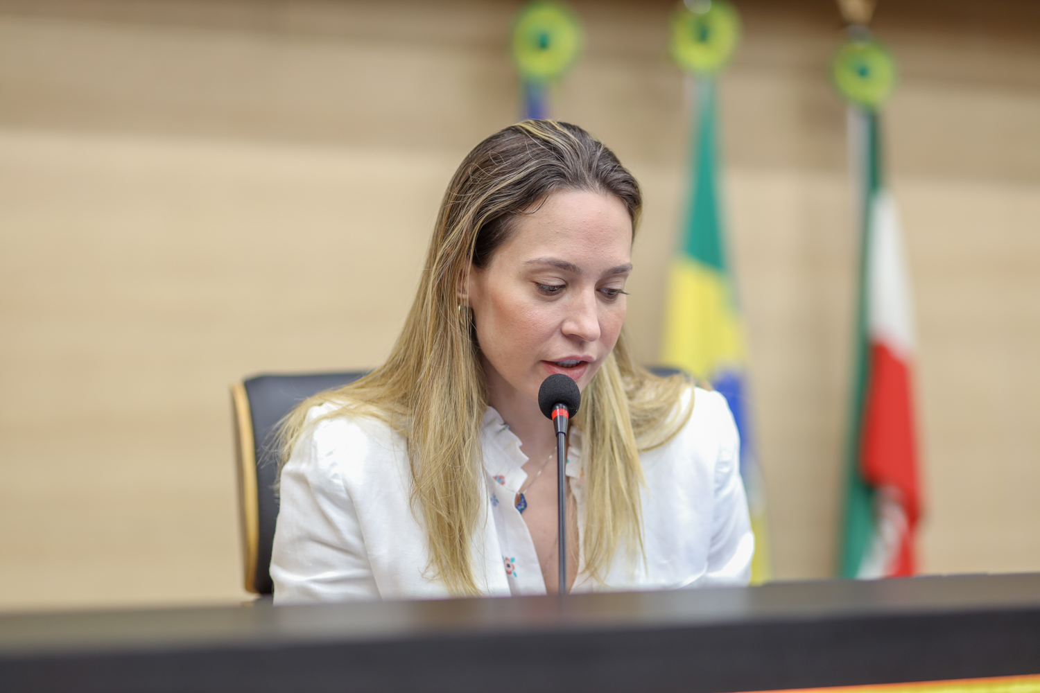 SESSÃO PLENÁRIA 18-09-2024-4.JPG