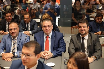 SESSÃO SOLENE DE INSTALAÇÃO DA ALEPI NA CIDADE DE PICOS (53).jpg