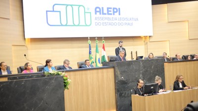 SESSÃO SOLENE EM HOMENAGEM AO DIA INTERNACIONAL  DA SINDROME DE DOWN (1).jpeg