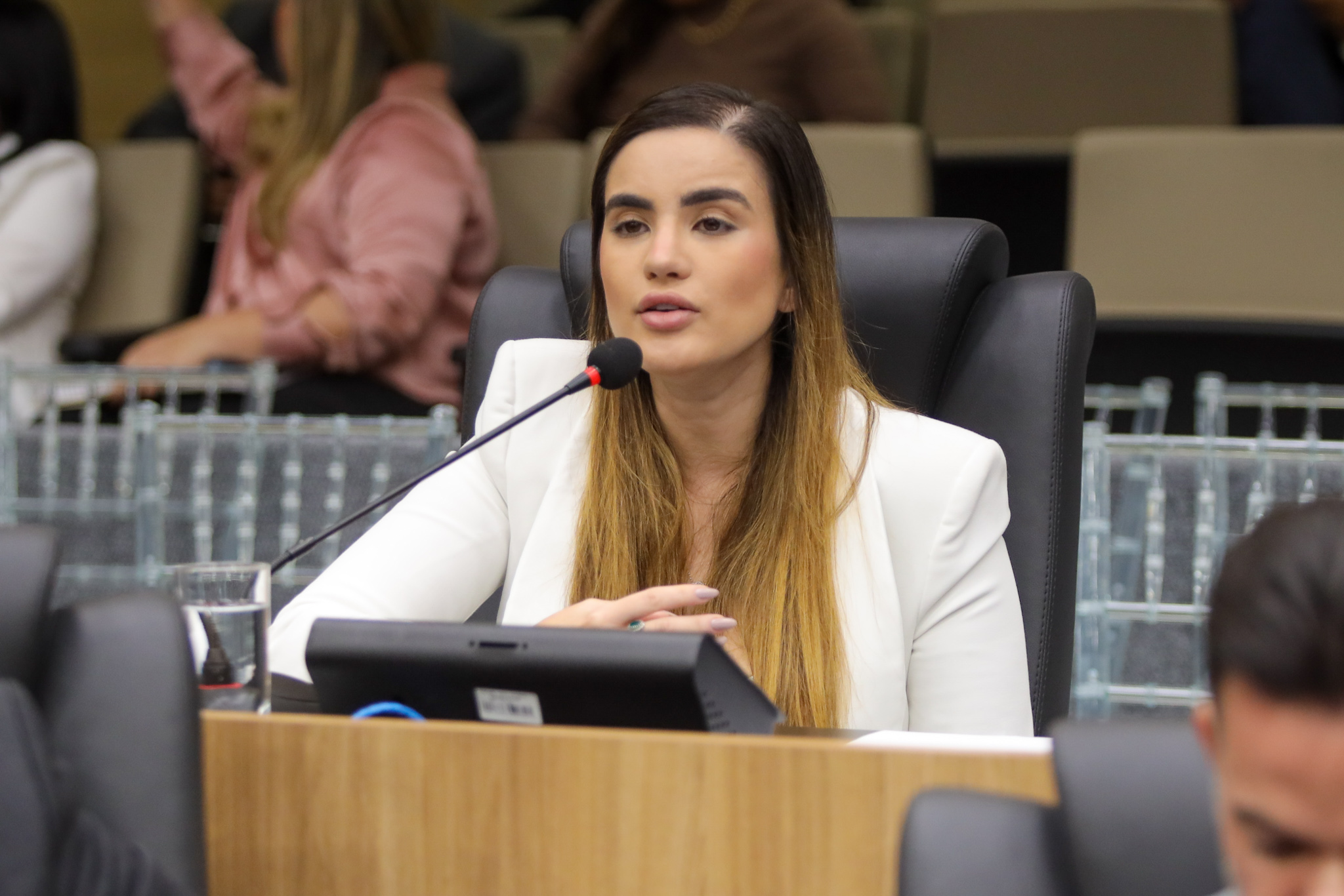 SESSÃO PLENÁRIA DIA 08.04 (1).jpg