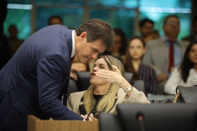 SESSÃO PLENÁRIA DIA 08.04 (19).jpg