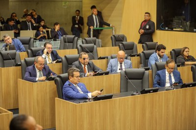 SESSÃO PLENÁRIA DIA 08.04 (31).jpg