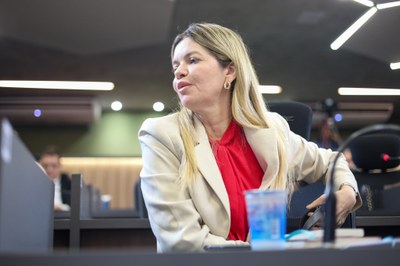 COMISSÃO DE CONSTITUIÇÃO E JUSTIÇA GRACINHA MÃO SANTA 15.05.2025.jpg