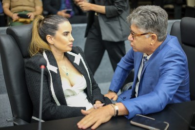 SESSÃO PLENÁRIA 15.05.2025 (1).jpg
