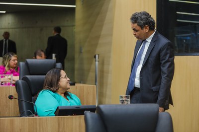 SESSÃO PLENÁRIA 27 (17).jpg