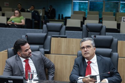 SESSÃO ORDINÁRIA  (123).jpg