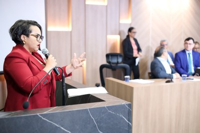 AUDIÊNCIA PÚBLICA DO PACTO PELA ORDEM  (29).jpg