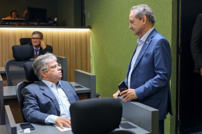 REUIÃO DAS COMISSÕES CONJUNTAS 29.04 (13).jpeg