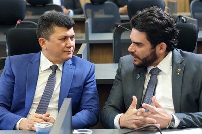 REUIÃO DAS COMISSÕES CONJUNTAS 29.04.2025 (9).jpg