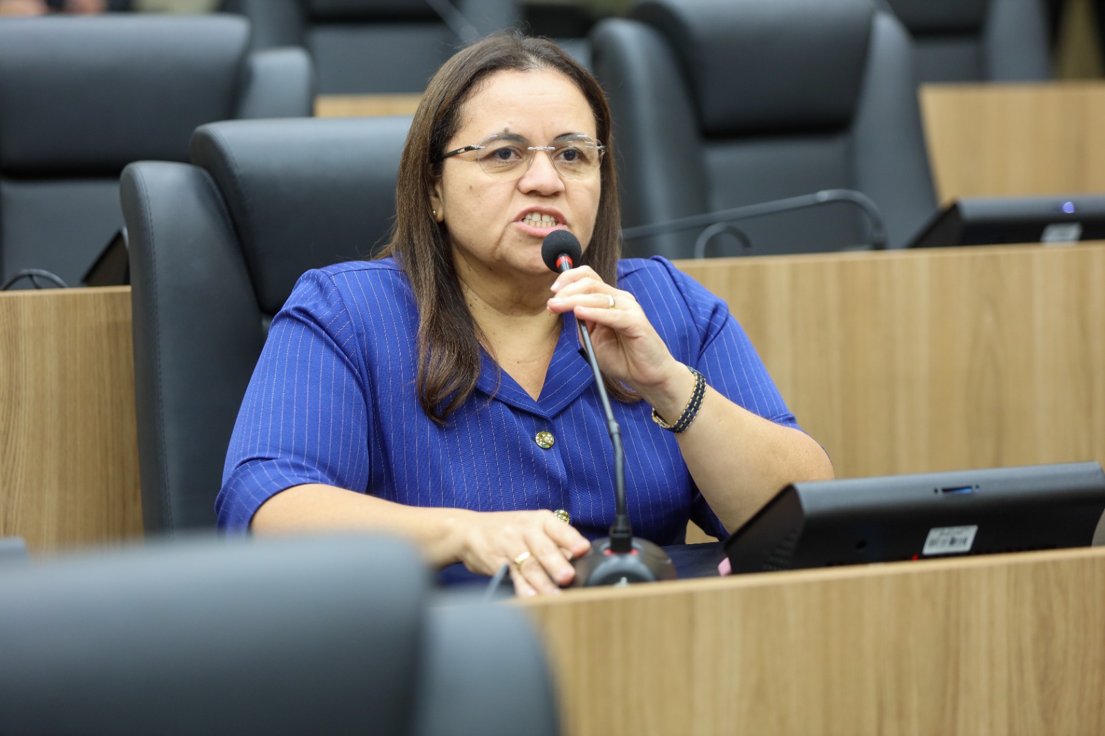 SESSÃO PLENÁRIA 29.04.2025 (8).jpeg