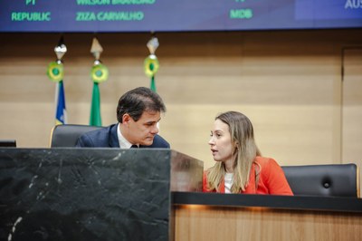 SESSÃO PLENÁRIA 04 (11).jpg