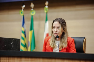 SESSÃO PLENÁRIA 04 (13).jpg