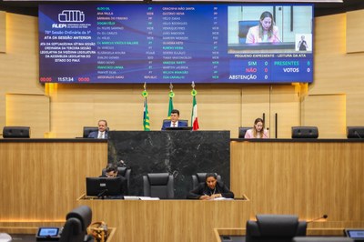 SESSÃO PLENÁRIA 05.08 (7).jpg
