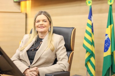 SESSÃO PLENÁRIA 06.08 (22).jpg