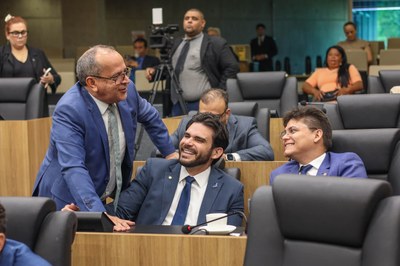 SESSÃO PLENÁRIA 06.08 (8).jpg
