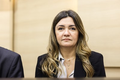 SEMINÁRIO ESTADUAL DO PIAUÍ PARA DISCUSSÃO SOBRE O PLANO NACIONAL DE EDUCAÇÃO DECÊNIO 2024 2034 (17).jpg