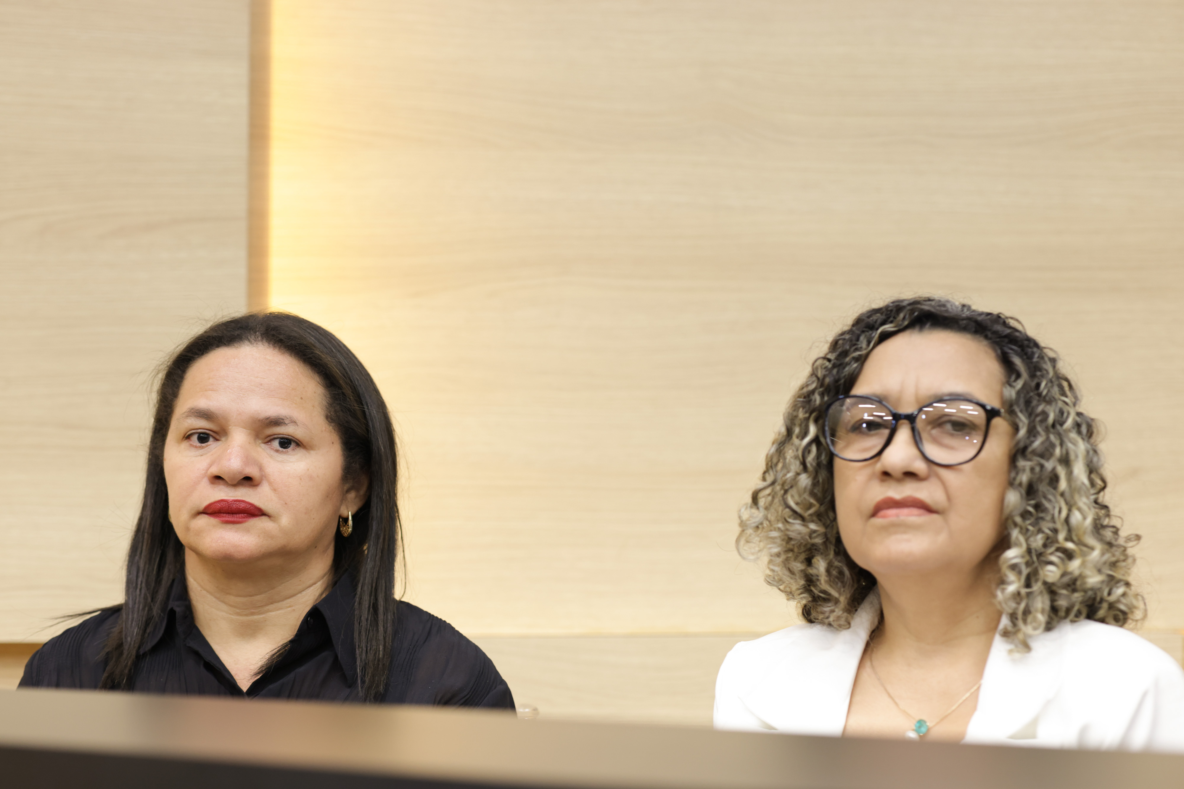 SEMINÁRIO ESTADUAL DO PIAUÍ PARA DISCUSSÃO SOBRE O PLANO NACIONAL DE EDUCAÇÃO DECÊNIO 2024 2034 (19).jpg