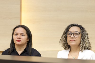 SEMINÁRIO ESTADUAL DO PIAUÍ PARA DISCUSSÃO SOBRE O PLANO NACIONAL DE EDUCAÇÃO DECÊNIO 2024 2034 (19).jpg