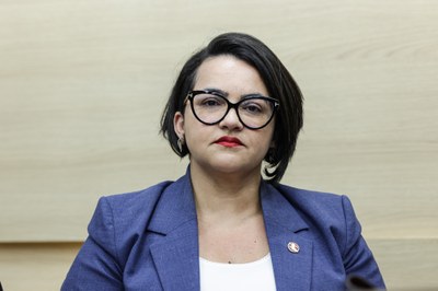SEMINÁRIO ESTADUAL DO PIAUÍ PARA DISCUSSÃO SOBRE O PLANO NACIONAL DE EDUCAÇÃO DECÊNIO 2024 2034 (2).jpg
