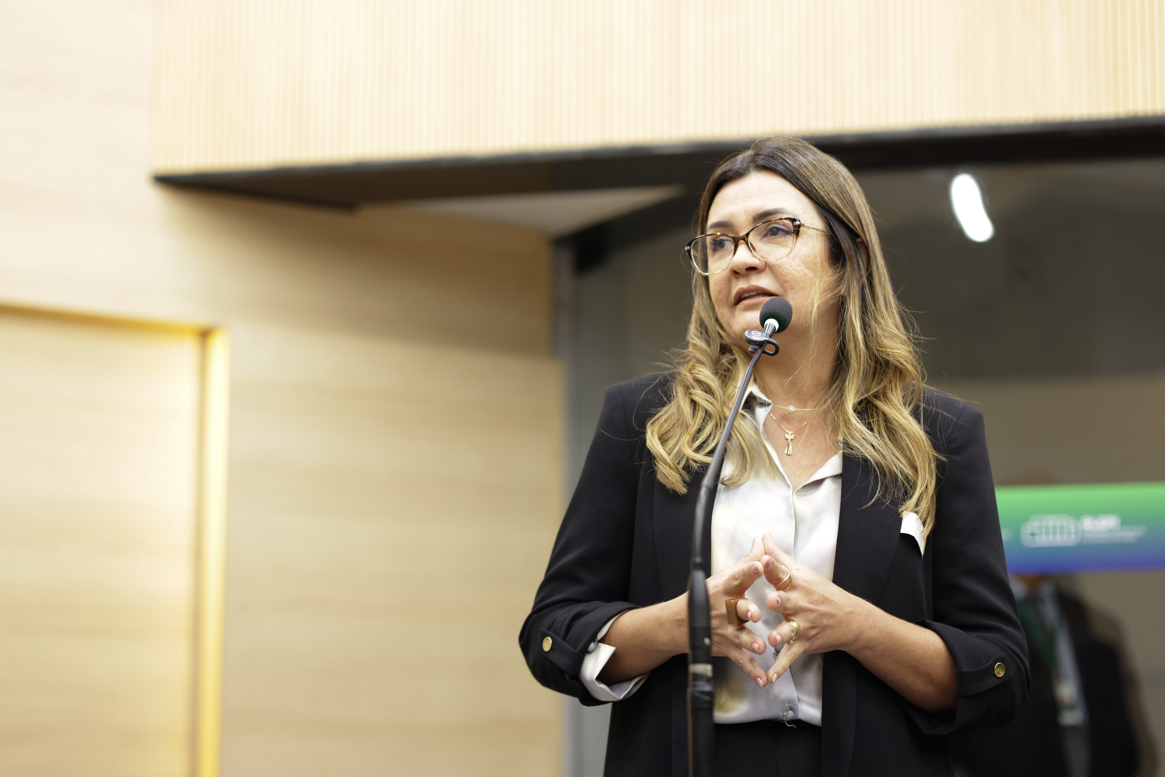 SEMINÁRIO ESTADUAL DO PIAUÍ PARA DISCUSSÃO SOBRE O PLANO NACIONAL DE EDUCAÇÃO DECÊNIO 2024 2034 (34).jpg