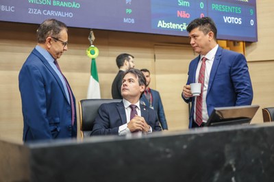 SESSÃO PLENÁRIA 19 (1).jpg