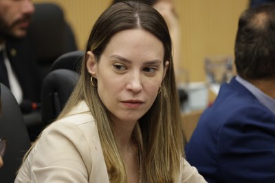 SESSÃO ORDINÁRIA  (150).jpg