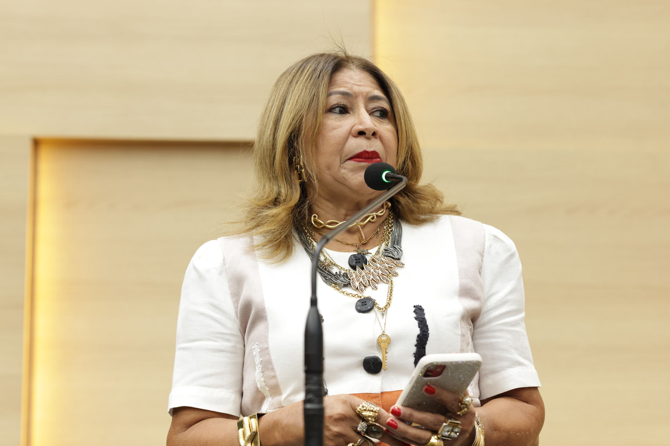 SESSÃO SOLENE MEDALHA DO MÉRITO LEGISLATIVO DRA MARINA BUCAR BARJUD (15).jpg