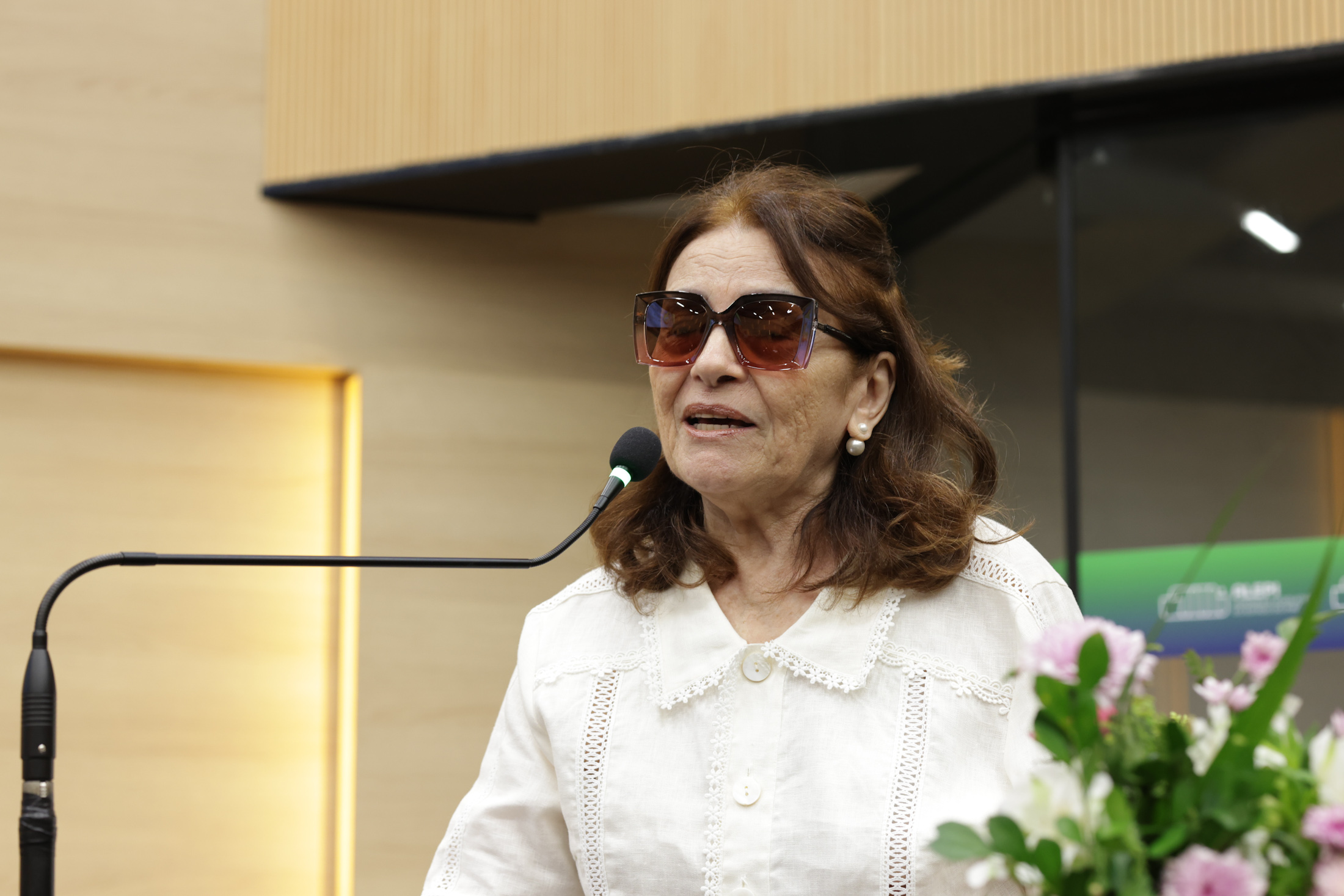 SESSÃO SOLENE MEDALHA DO MÉRITO LEGISLATIVO DRA MARINA BUCAR BARJUD (3).jpg