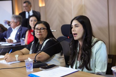 AUDIÊNCIA PUBLICA NA COMISSÃO DE EDUCAÇÃO PARA DEBATER CARGOS E SALÁRIOS DOS PROFESSORES - FOTOS REGIS FALCÃO ASCOM ALEPI (13).jpg