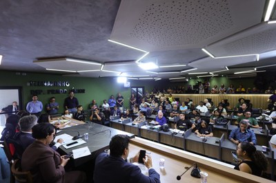 AUDIÊNCIA PUBLICA NA COMISSÃO DE EDUCAÇÃO PARA DEBATER CARGOS E SALÁRIOS DOS PROFESSORES - FOTOS REGIS FALCÃO ASCOM ALEPI (6).jpg