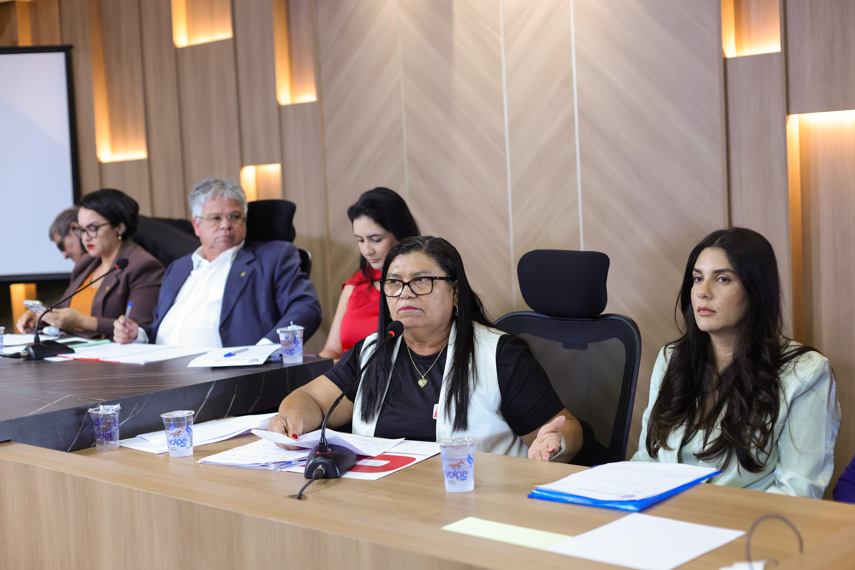 AUDIÊNCIA PUBLICA NA COMISSÃO DE EDUCAÇÃO PARA DEBATER CARGOS E SALÁRIOS DOS PROFESSORES - FOTOS REGIS FALCÃO ASCOM ALEPI (9).jpg