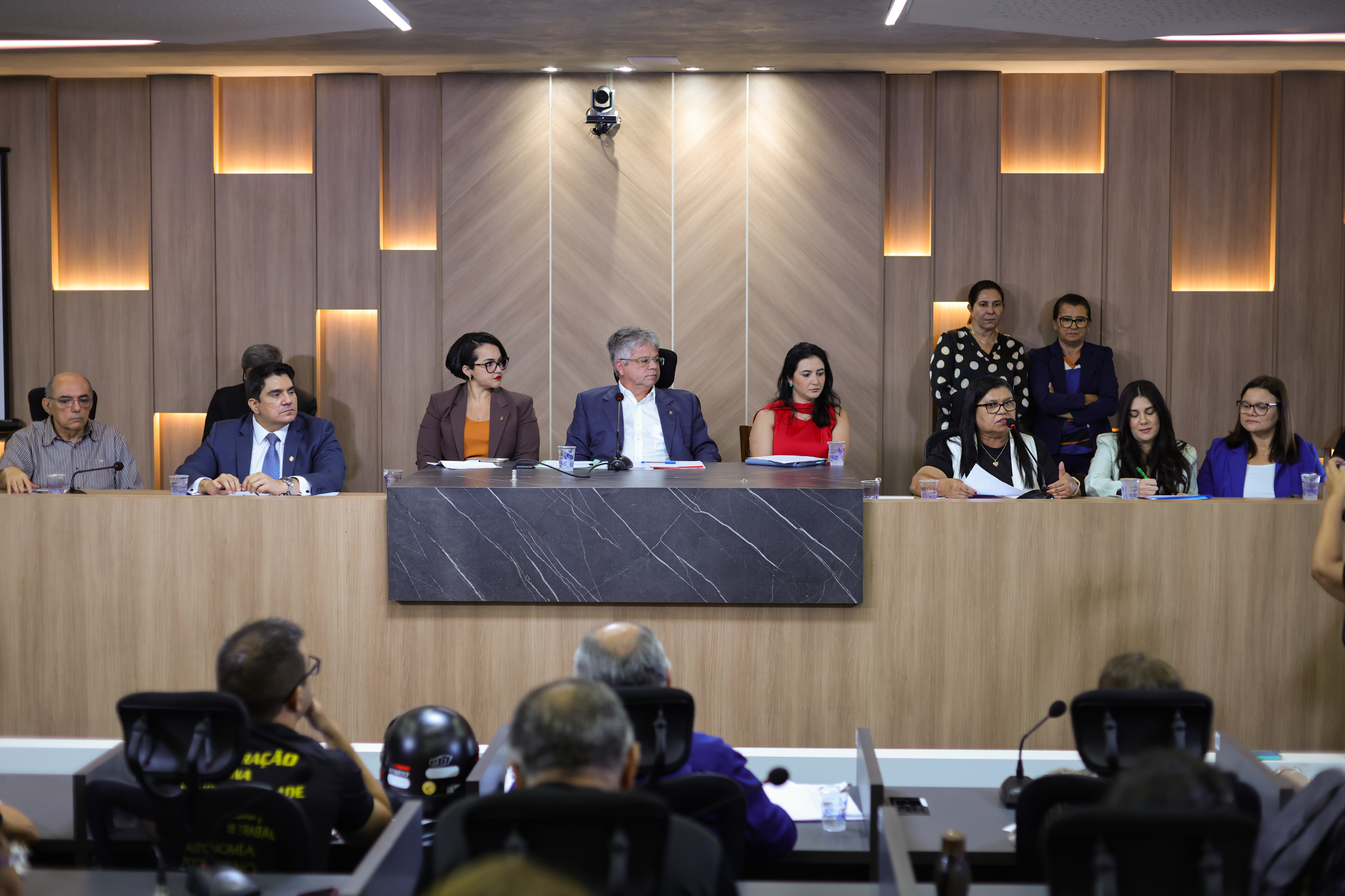 AUDIÊNCIA PUBLICA NA COMISSÃO DE EDUCAÇÃO PARA DEBATER CARGOS E SALÁRIOS DOS PROFESSORES - FOTOS REGIS FALCÃO ASCOM ALEPI.jpg