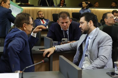 REUNIÃO DE COMISSÕES - FOTOS REGIS FALCÃO ASCOM ALEPI  (21).jpg