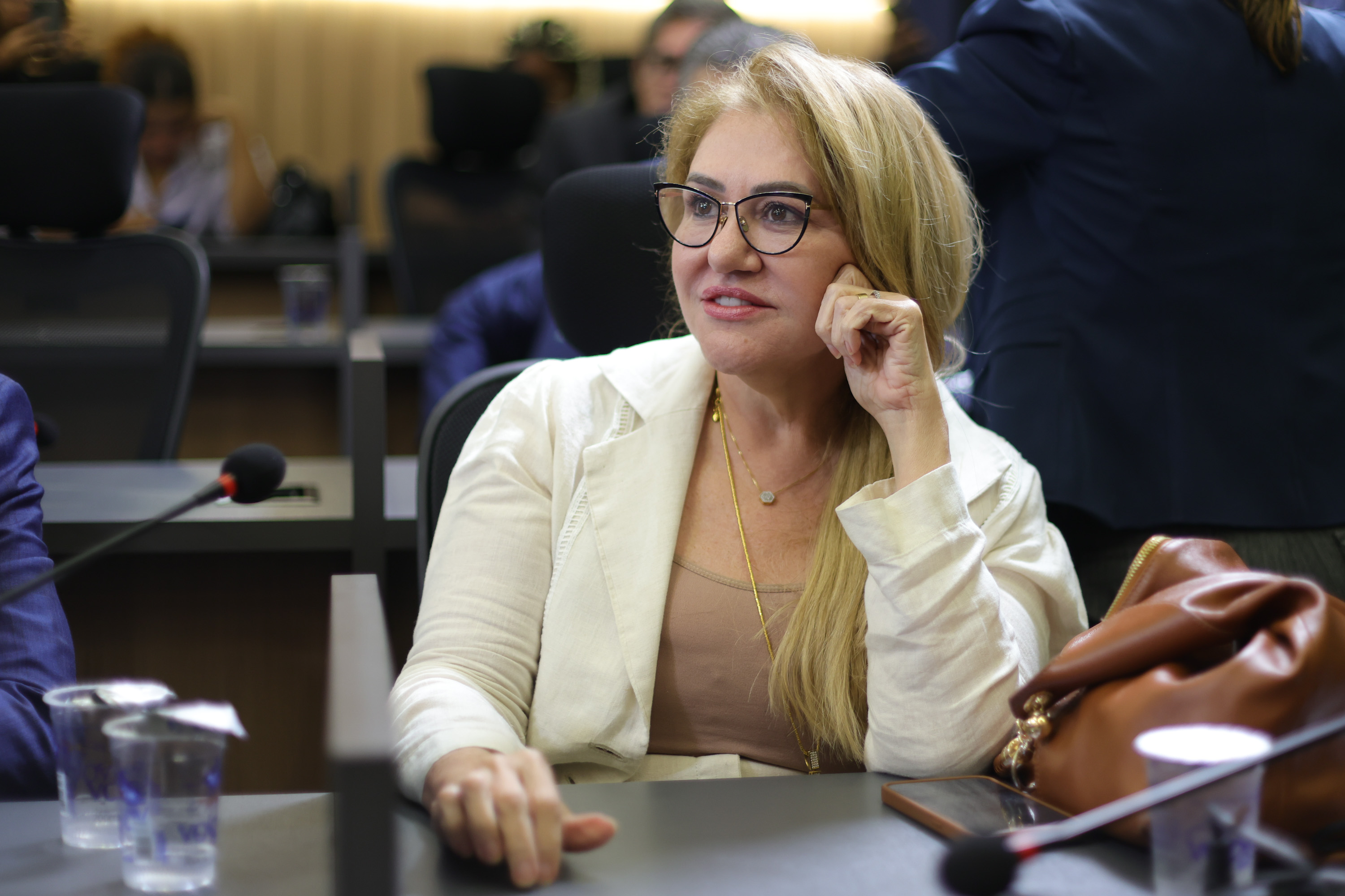 REUNIÃO DE COMISSÕES - FOTOS REGIS FALCÃO ASCOM ALEPI  (39).jpg